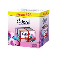 Odonil Air Freshener