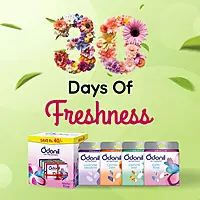 Odonil Air Freshener