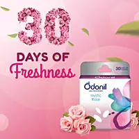 Odonil Air Freshener Mystic Rose