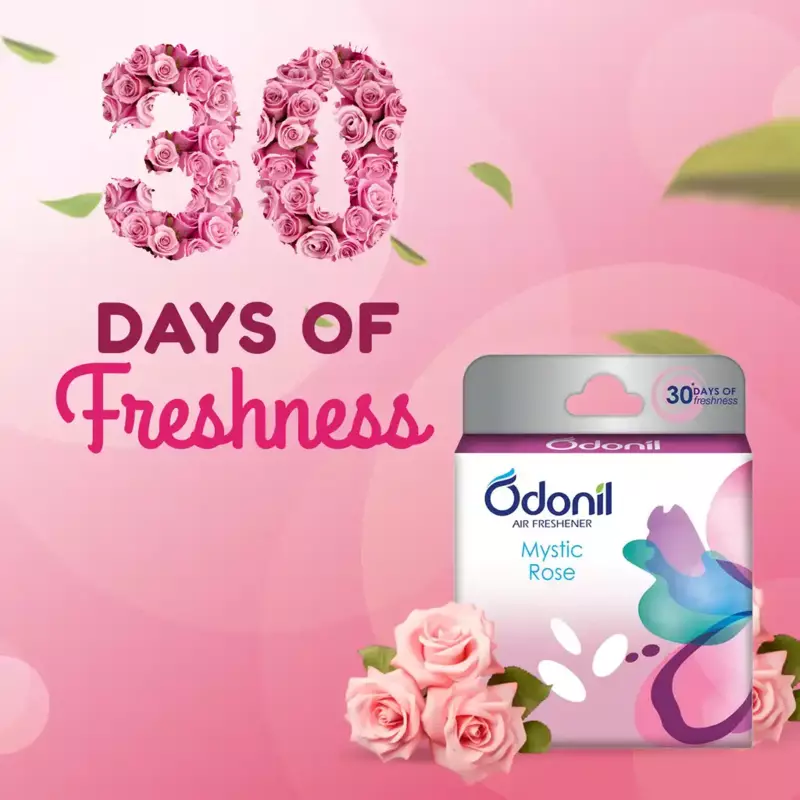 Odonil Air Freshener Mystic Rose