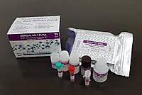 Dengue NS1 - Elisa Kit