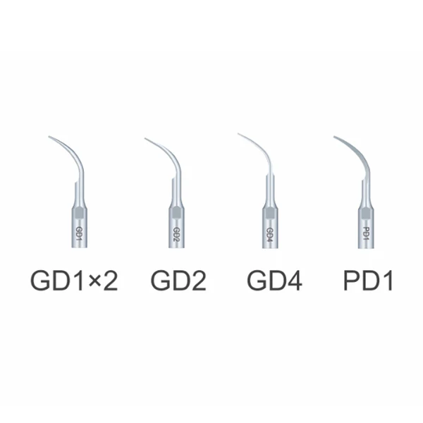 Waldent RTA D1 Ultrasonic Scaler By Woodpecker