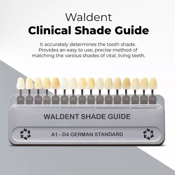 Waldent Clinical Shade Guide (For VITA Shades, German Standard) Waldent Clinical Shade Guide (For VITA Shades, German Standard)