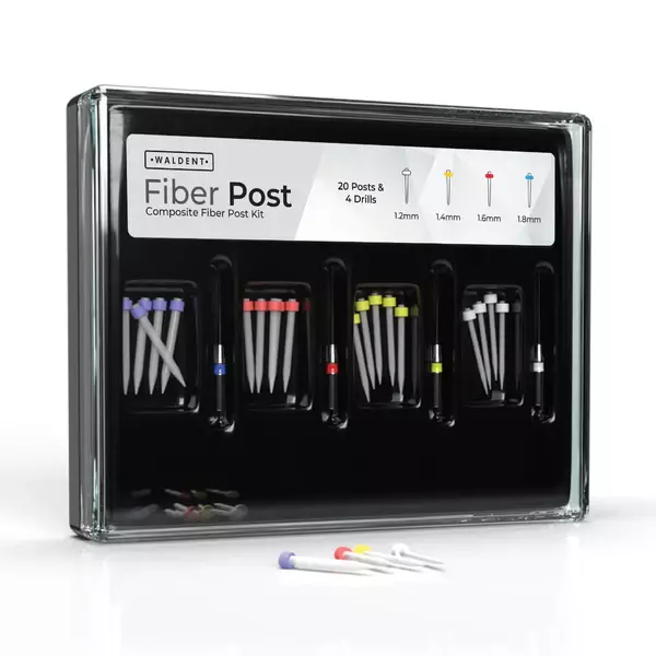 Fiber Post Fiber Post